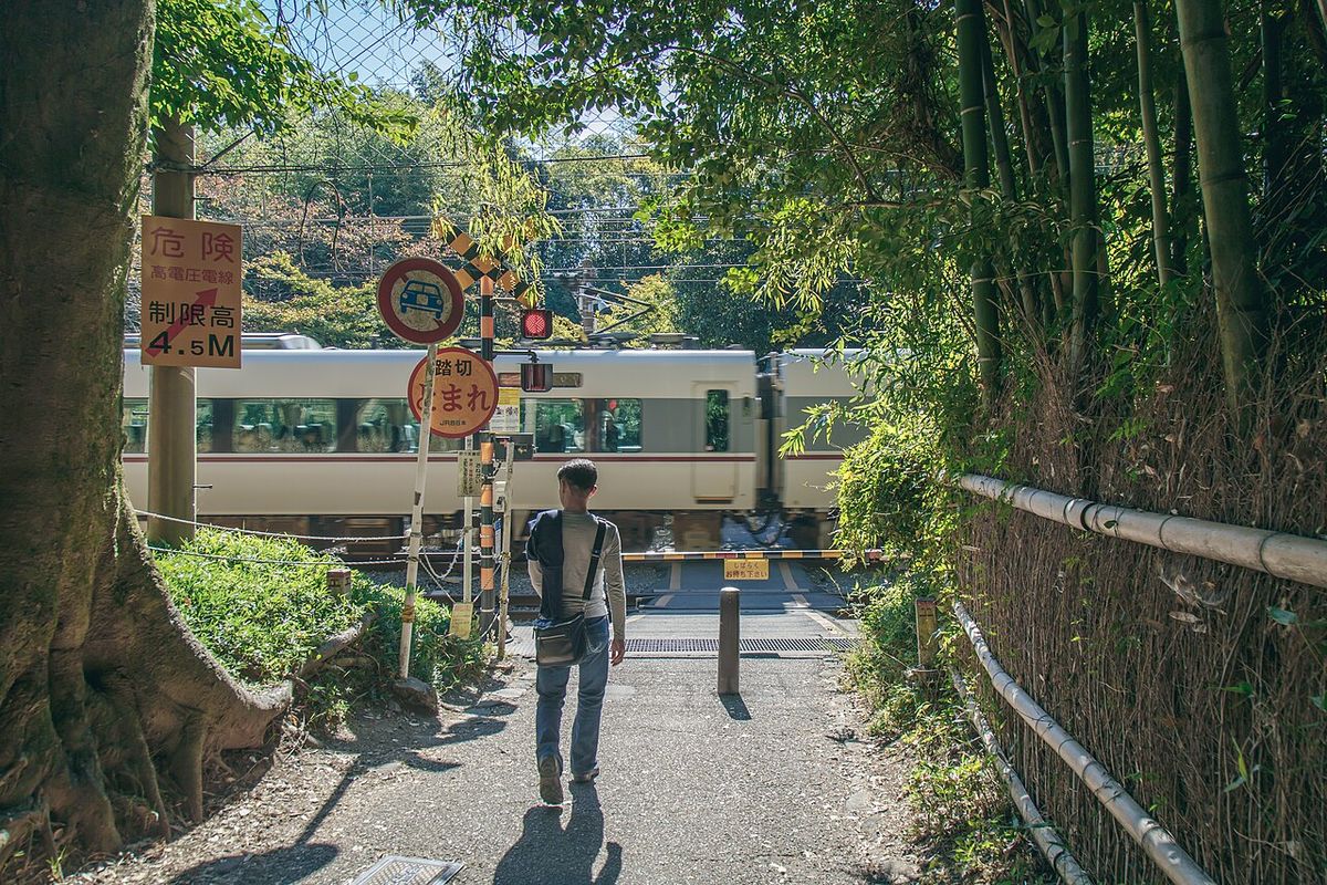 Tour bamboo groveArashiyama Kyoto