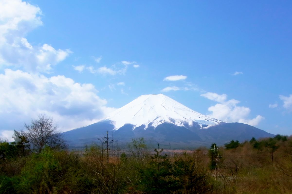 Tour Oshino HakkaiTokyo