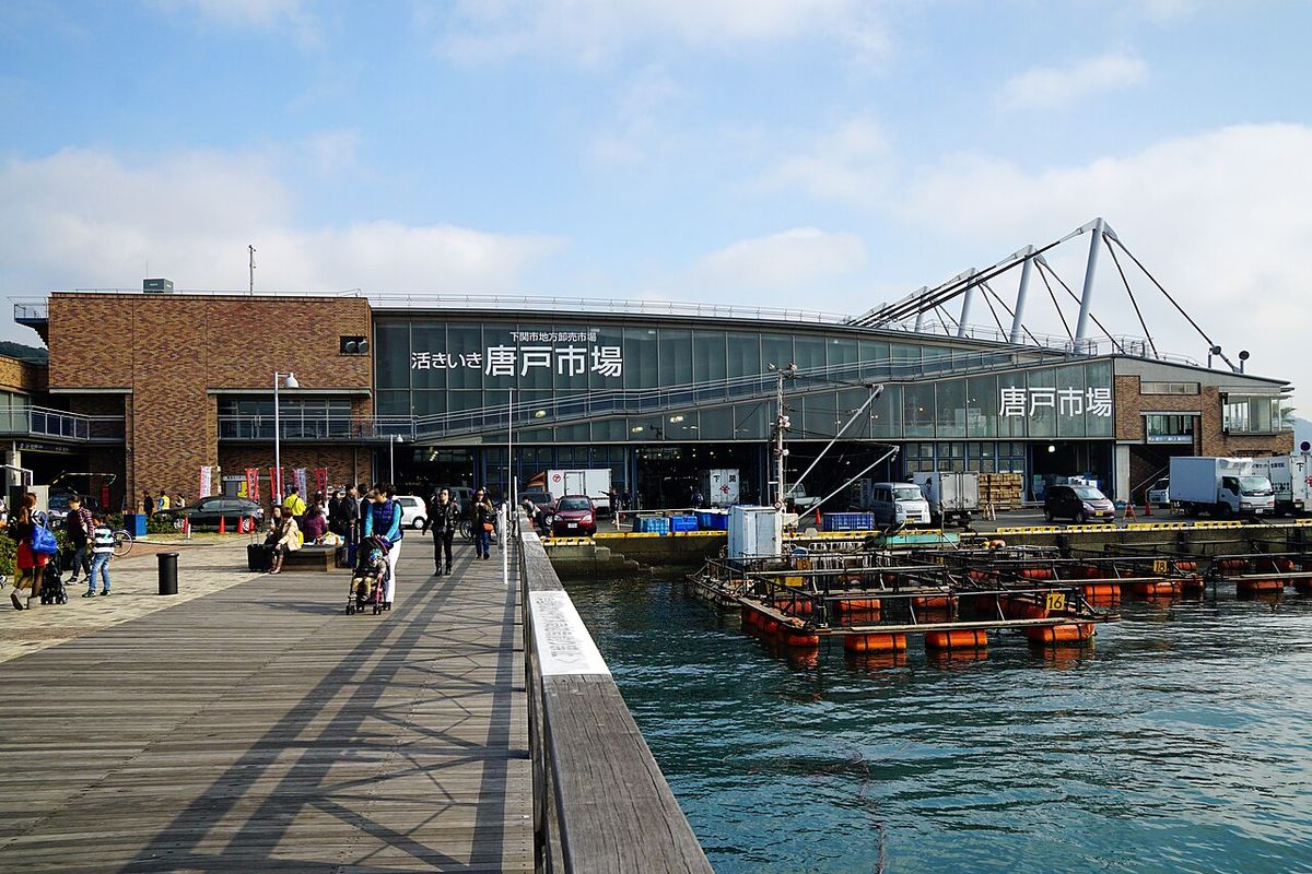 Karato Fish Market Mt Sarakura Night View Day Tour