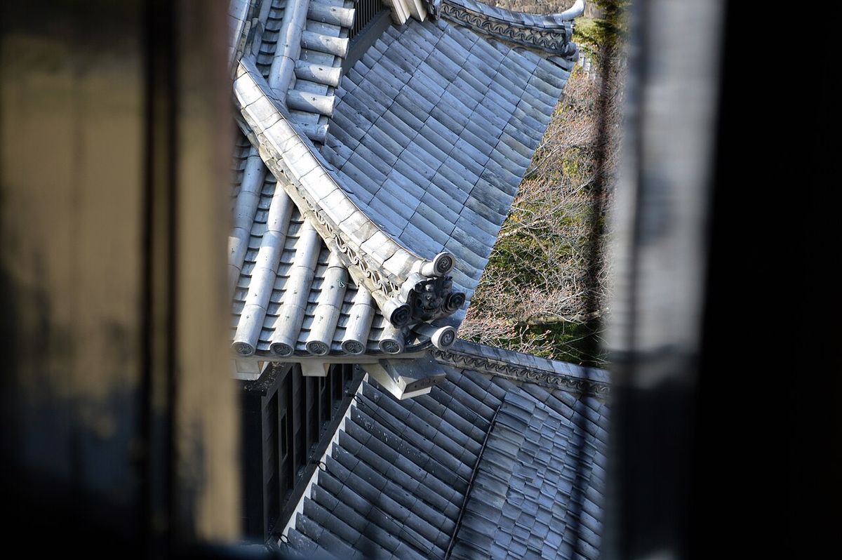 Tour Tokyo: