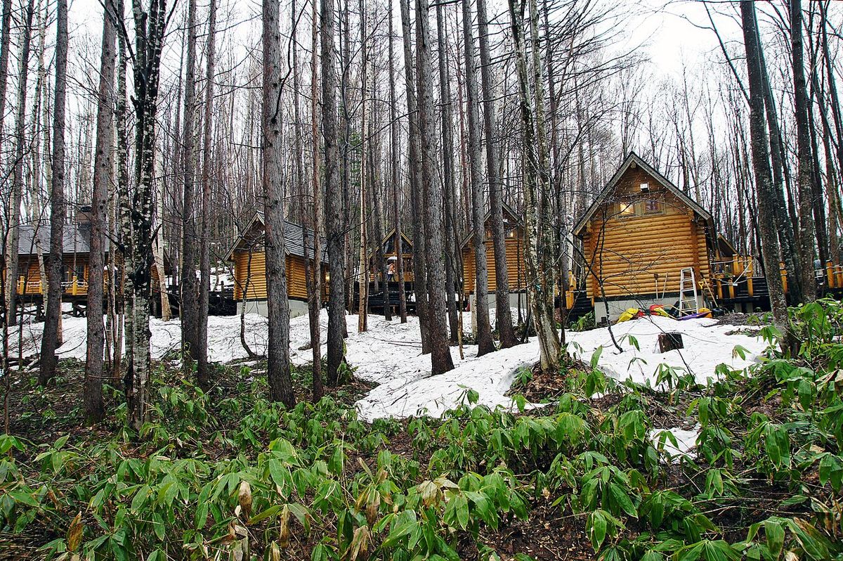 Tour Hokkaido ｜ ・