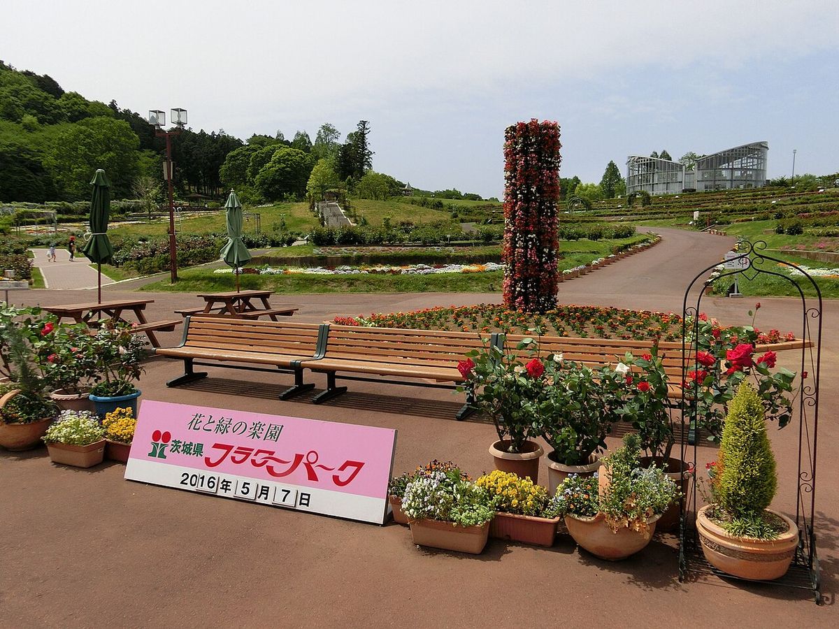 [Tour ]
