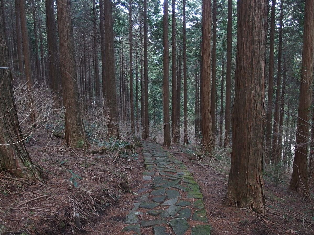 Hakone Shrine Lake Ashi Owakudani Yamanakako Day T
