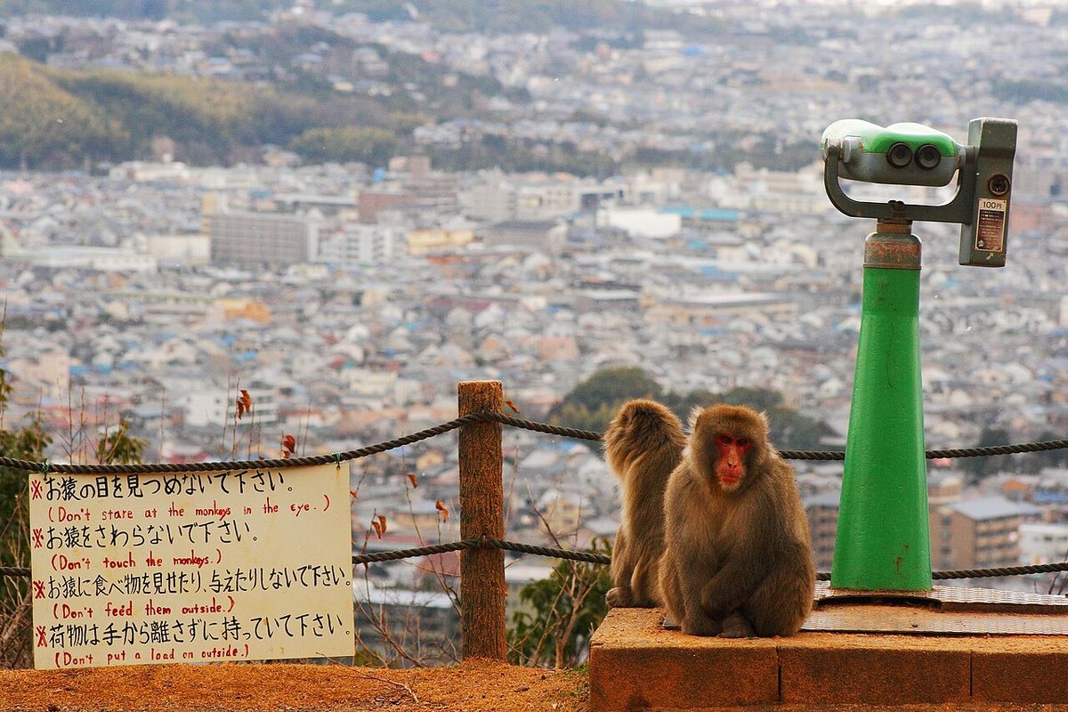 TourArashiyama 3 : UNESCO