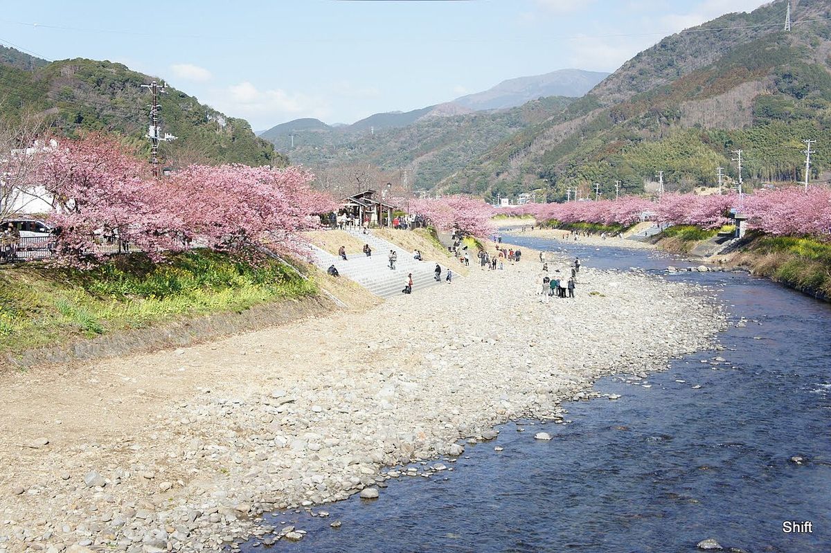 Best time to visit Japan