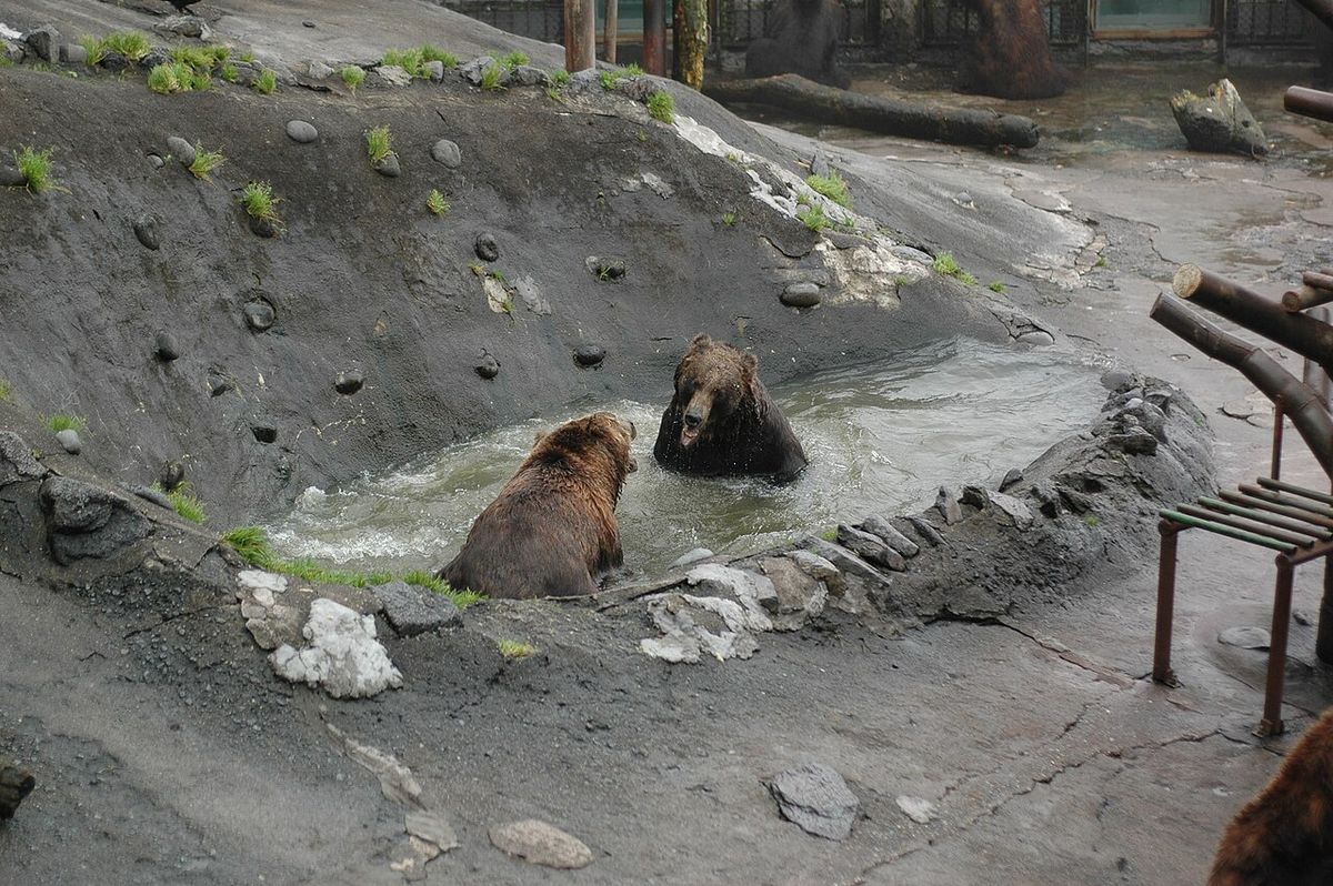 Noboribetsu Bear Park