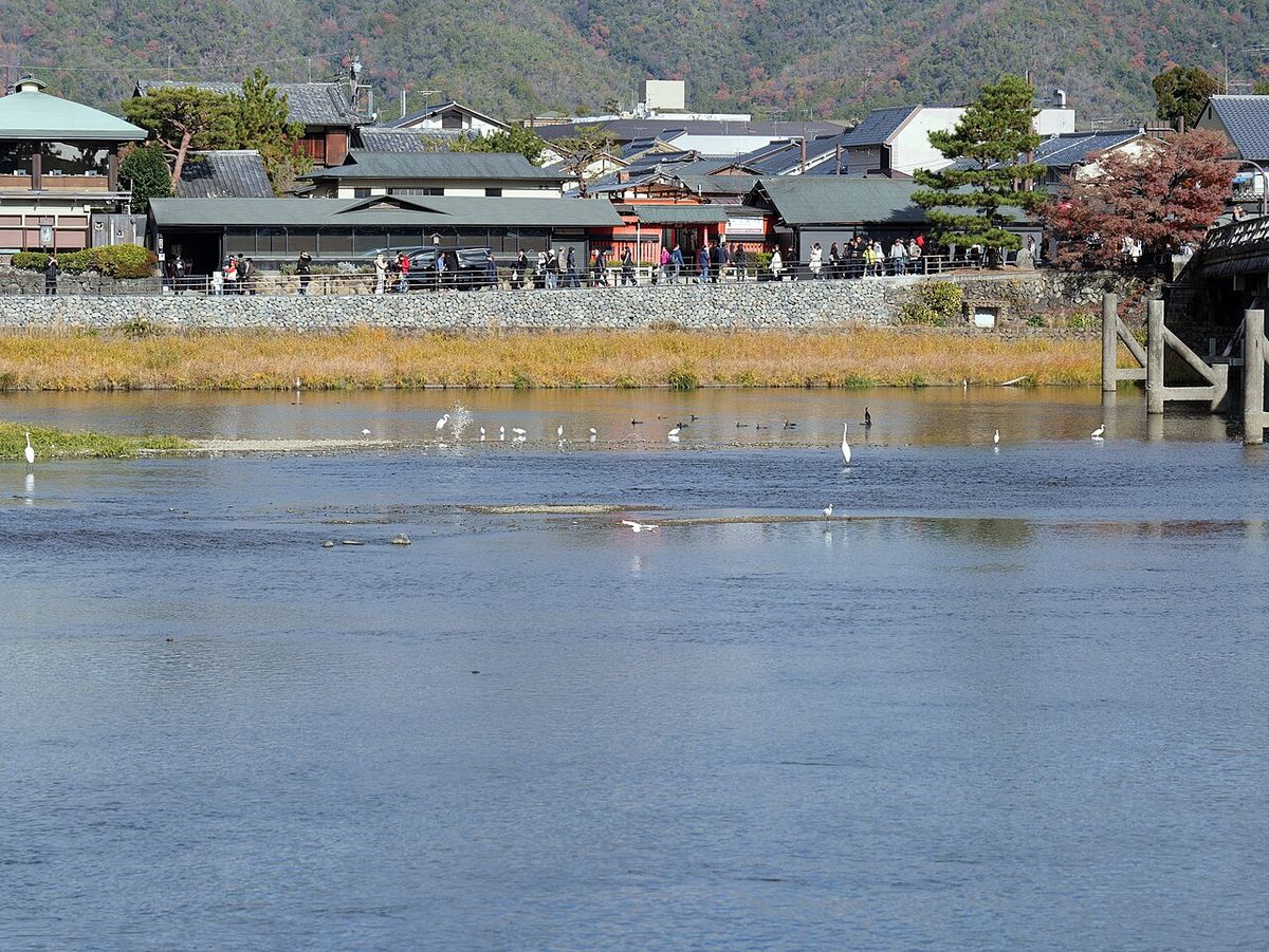 cruise Kyoto