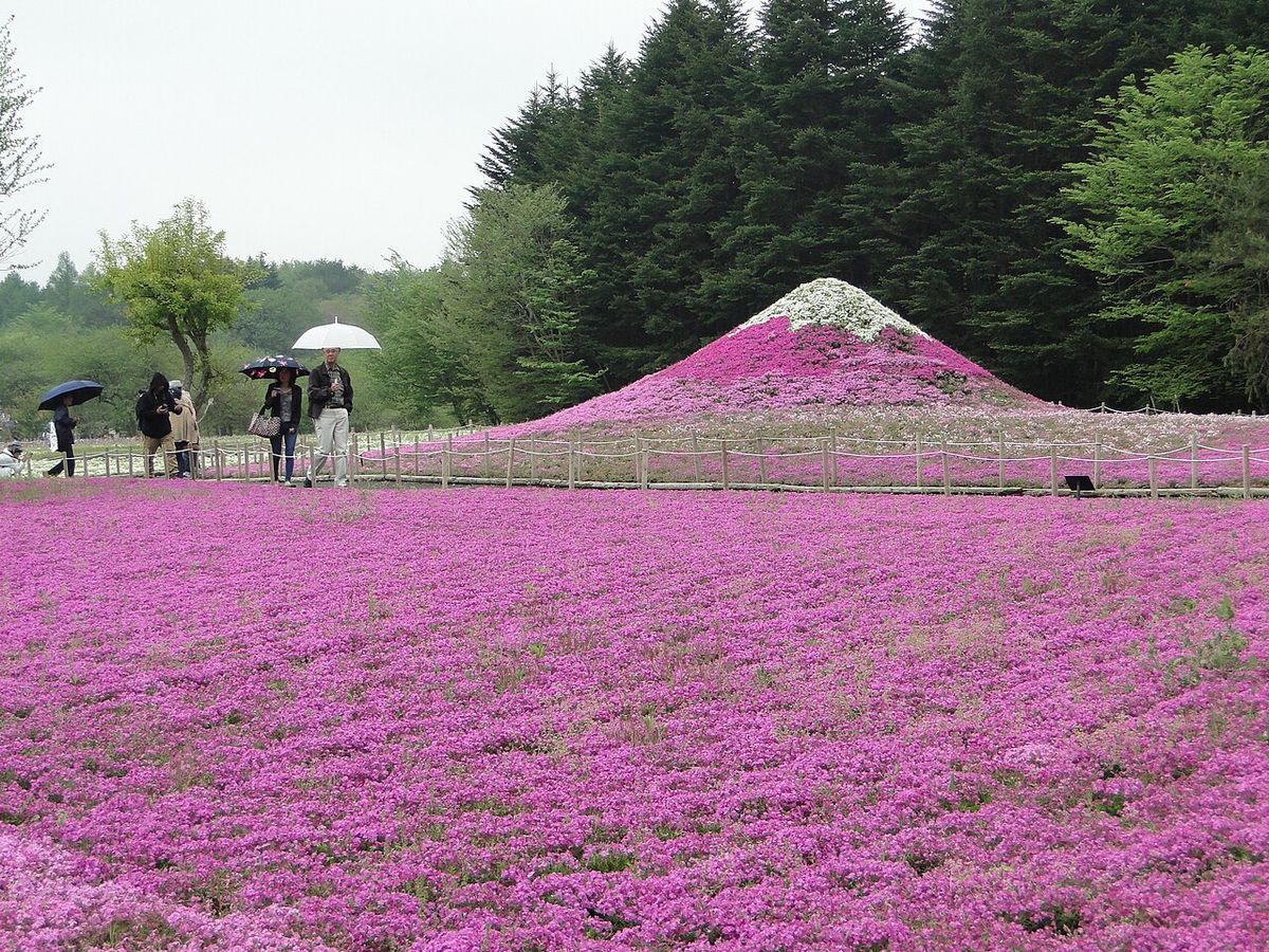 Tour Japan