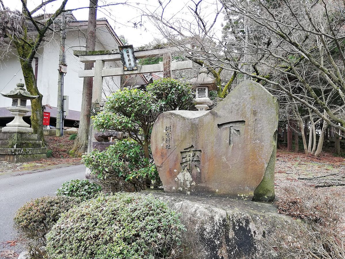 Tour