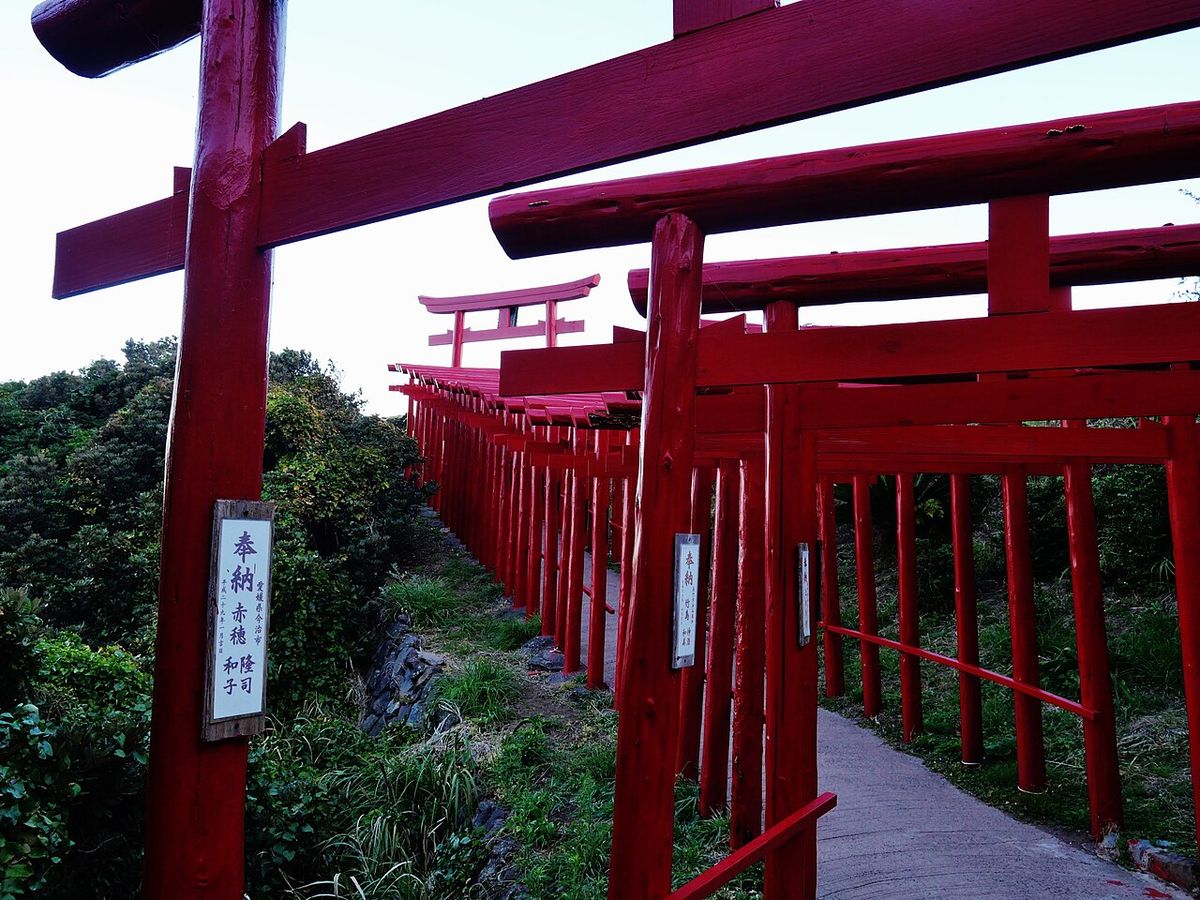 Tour :,