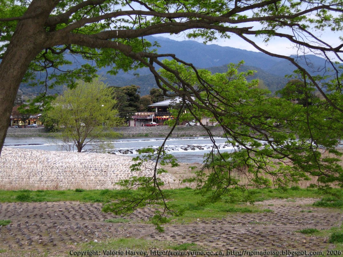 Kyoto Arashiyama | Kimono | Kimono,,