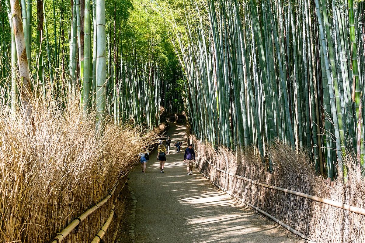 Kyoto: