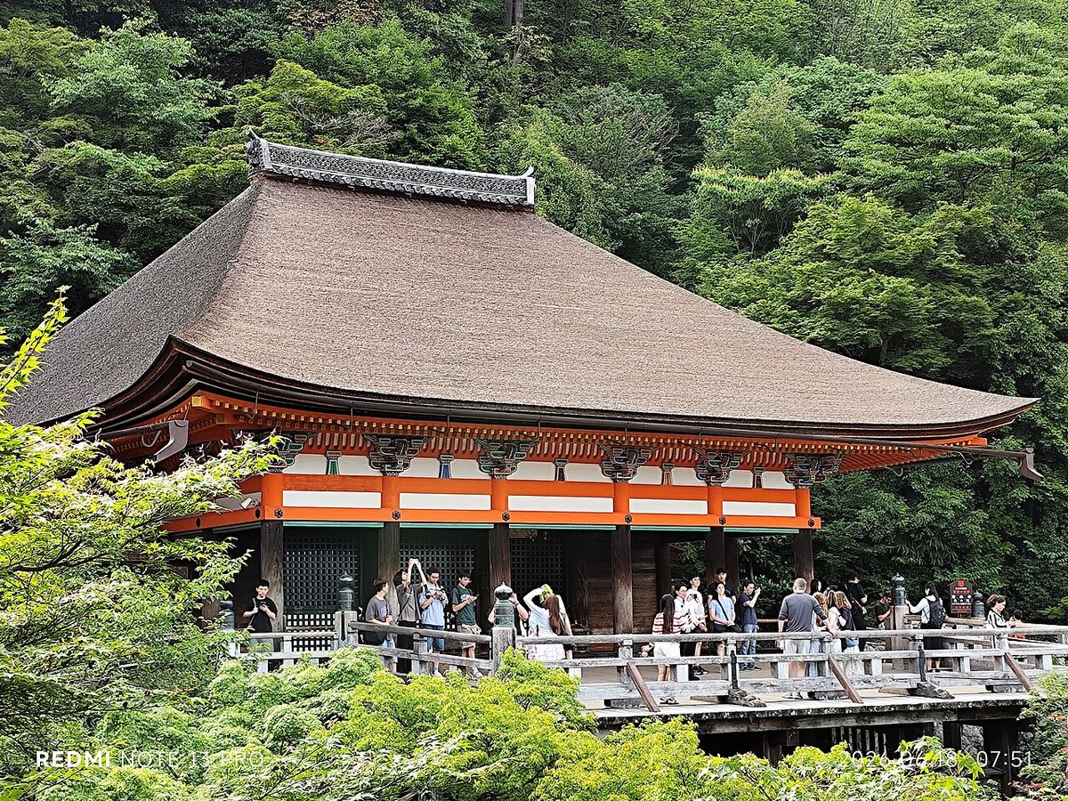 Tour 1 day Kyoto :