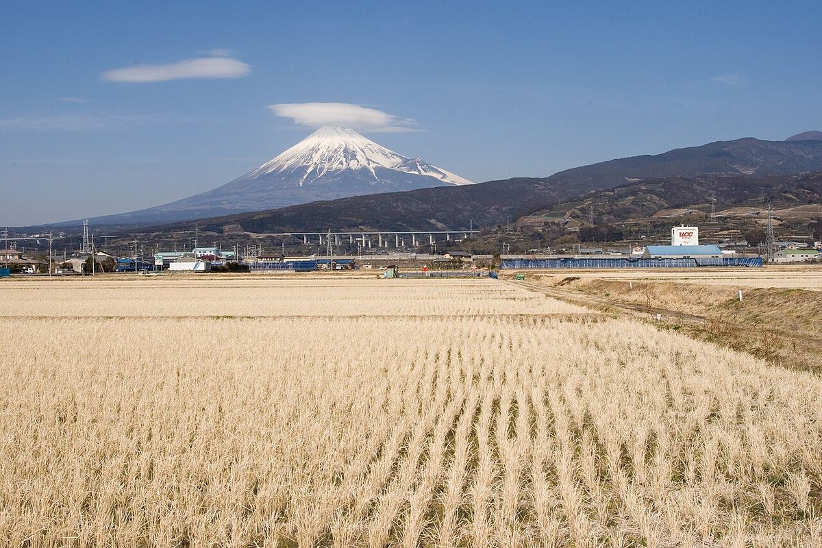 TourTokyo :