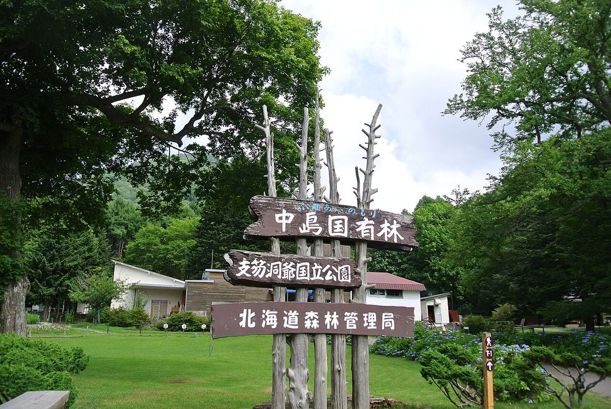 Hokkaido｜ & & Lake Hill Farm One Day