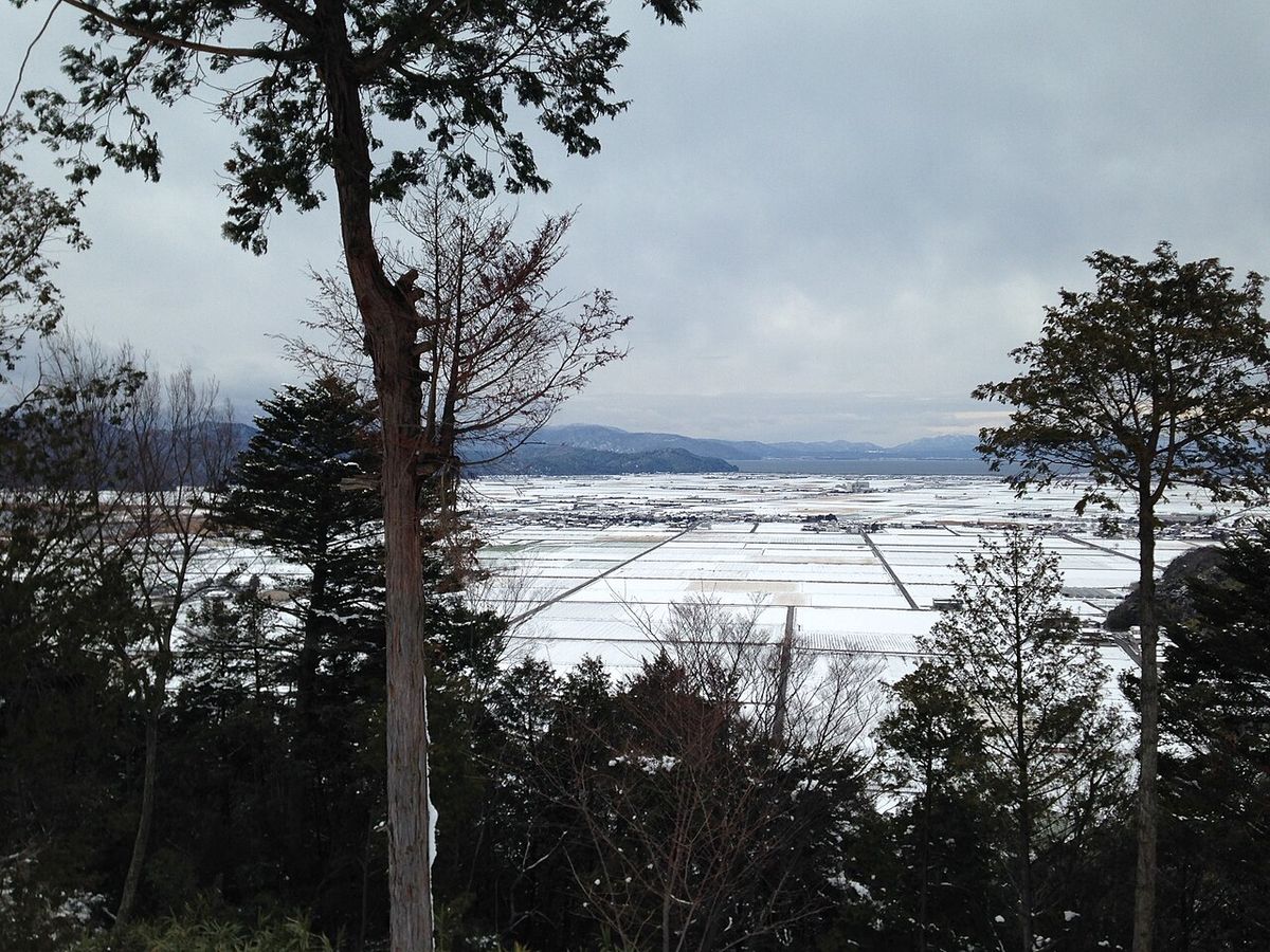 Tour Osaka Kyoto La Collina