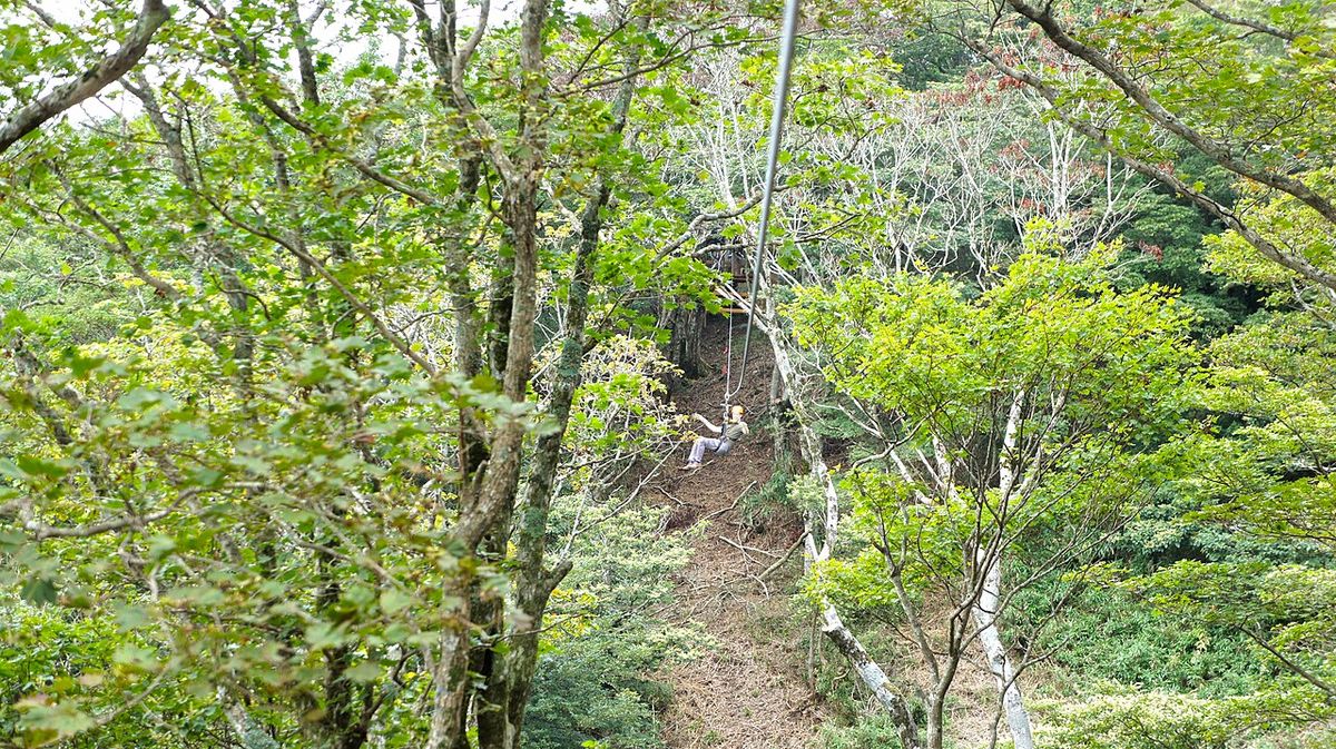 Tour Biwako Valley Osaka