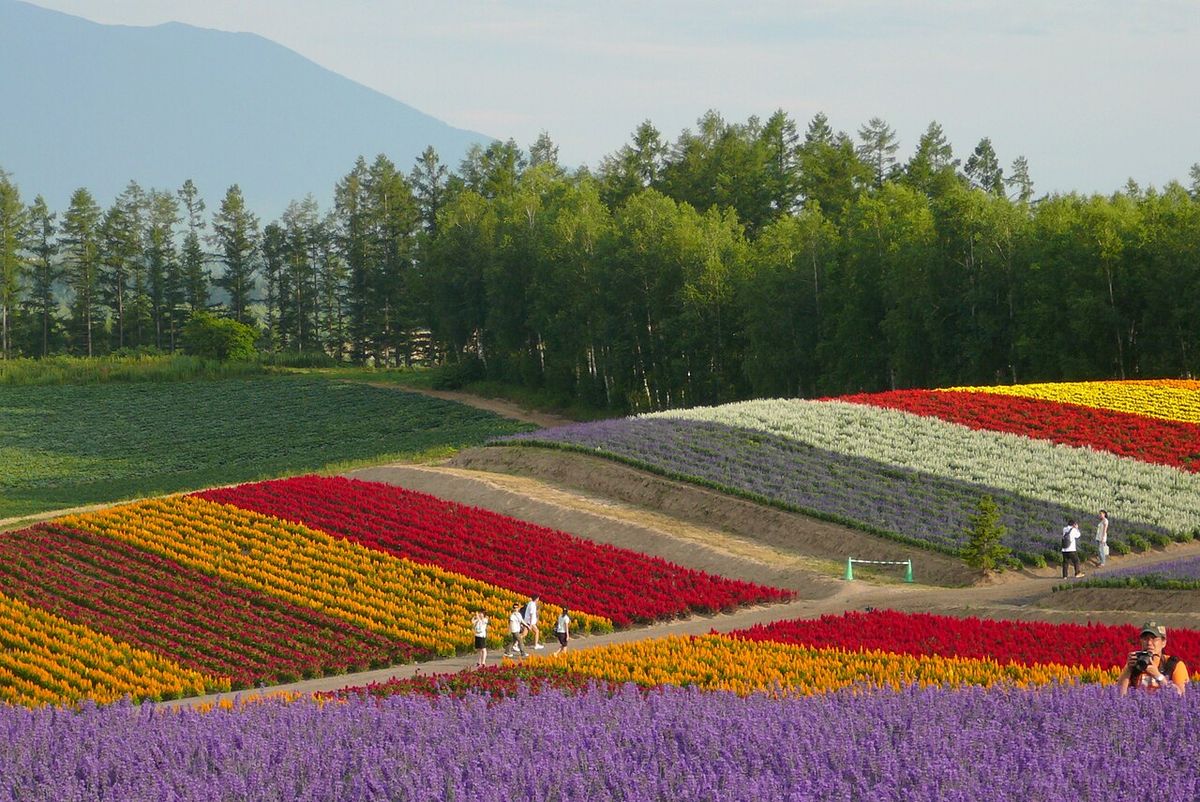 : | Tour Hokkaido |