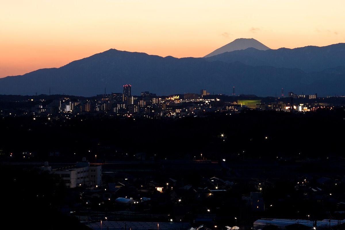 【 1 day】 &