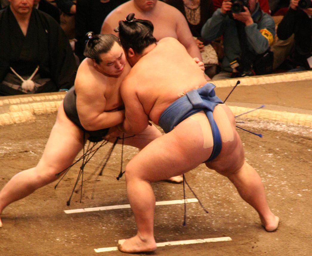 Asakusa Sumo Club · sumo show