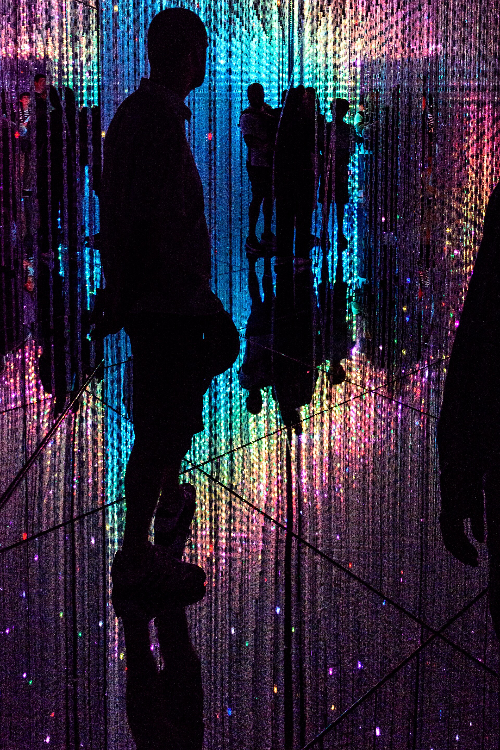 teamLab Botanical Garden Osaka